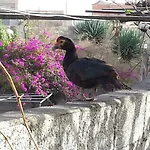 Casa Maria Luisa サンミゲル・デ・アボナ